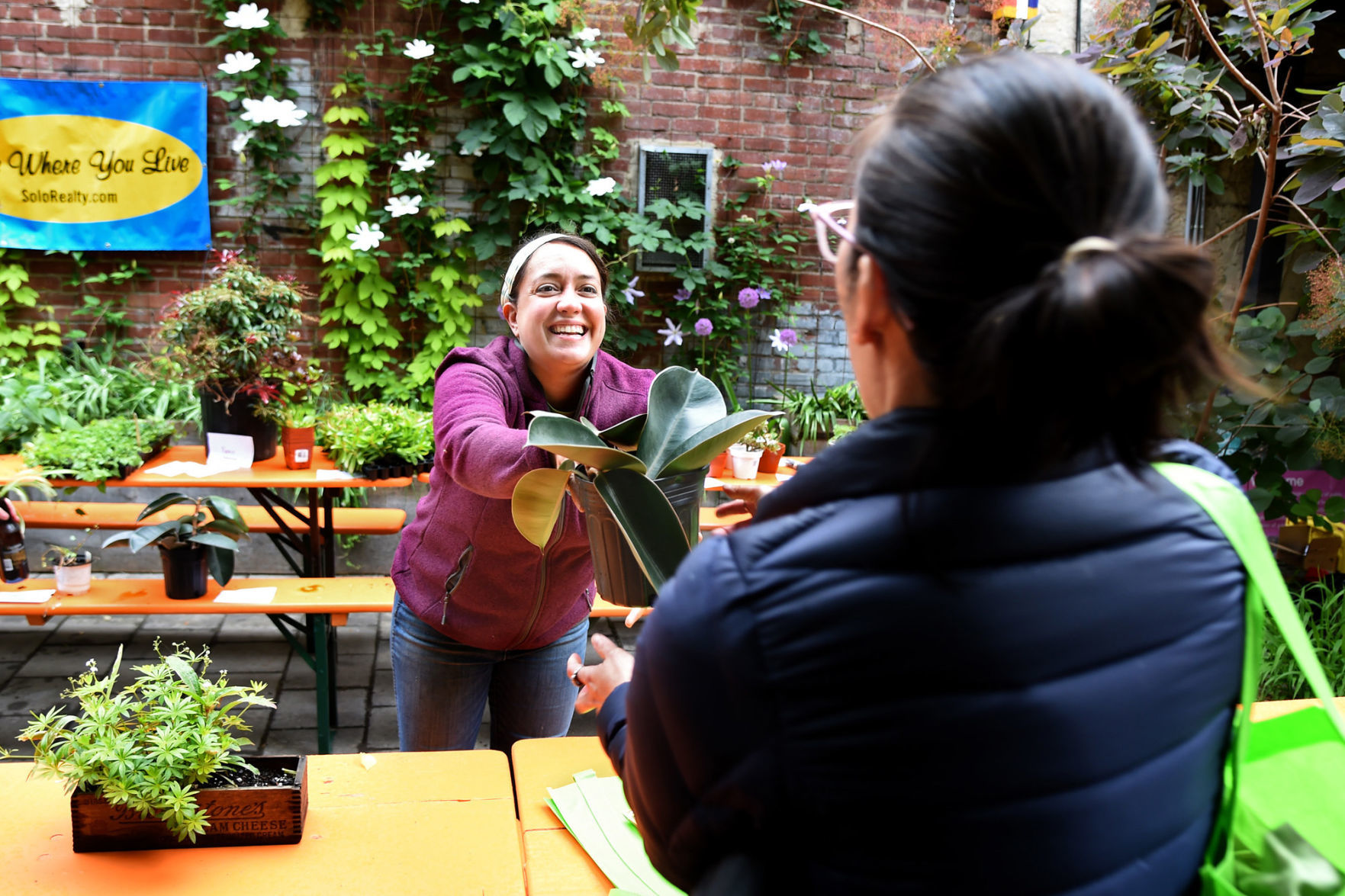 Plant Swap